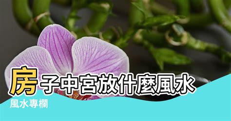 房子中心 風水|【風水中的中宮】房子中宮放什麼風水 